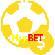 Aposte em esportes do mundo todo no Hzybet!